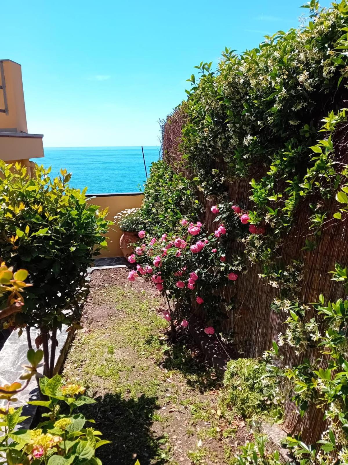 Raggio Di Luna Manarola Exterior photo